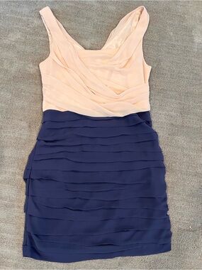 Express Two-Tone Pink and Navy Layered Mini Dress